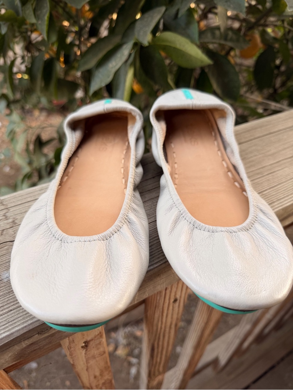 Tieks Ballet Flats in Cool Gray with Teal Accents